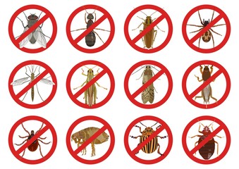 Collection of red warning signs about harmful insects. Vector illustration