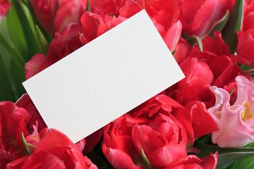 Paper card for a festive bouquet of pink and red tulips.