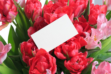Paper card for a festive bouquet of pink and red tulips.