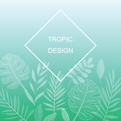 Exotic leaves vector design