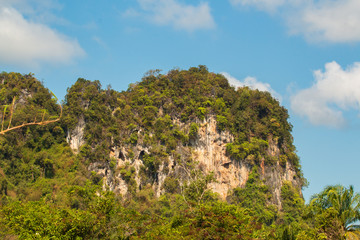 beautiful mountain formation with trees up with a blue sky