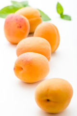 fresh apricots on white