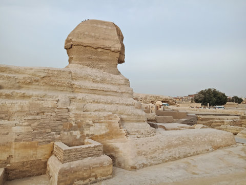 The view of Sphinks at Giza, Egypt