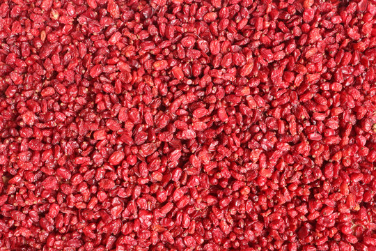 Dried barberries close up background texture