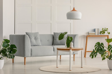 Grey sofa in a white living room interior with plants. Real photo