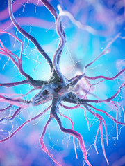 3d rendered illustration of a human nerve cell