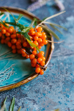 Twig with sea buckthorn berries on plate