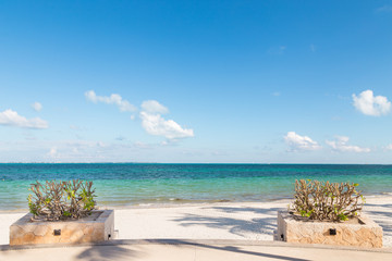 Obraz premium Hotel patio with plants growning looking out onto a white sand beach near Cancun, Mexico.