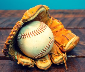 Softball Glove in Baseball mitt 