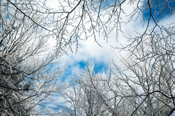 frosty day on the top of the mountain