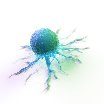 3d Rendered Illustration Of A Cancer Cell