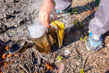 Apiarist, beekeeper prepare the smoker to use on a beehive