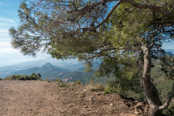 The desert of the palms in benicasim, Costa azahar
