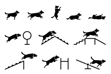 Set of icons representing various dog’s body postures. Collection of vector illustration icons of dogs standing still and moving. Dog training. Training dogs on polygon.