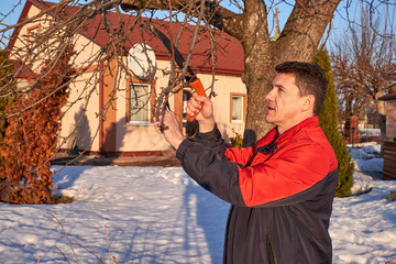 Senior man with shears in hand pruning tree branches in early spring