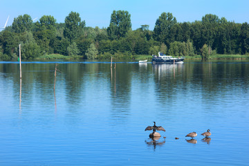 River with boat and Cormorants