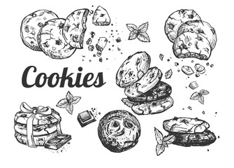 Collection of american cookies with chocolate crumb - obrazy, fototapety, plakaty