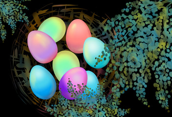  Easter eggs and mimosa branches in a nest on black background.