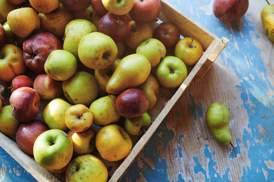 Box of apples and pears
