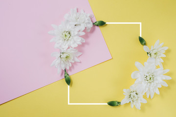 Creative composition with spring flowers. Beautiful white flowers with a white drawn frame on pastel pink and yellow background. Flat lay, top view, copy space