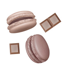 Set of Macarons with chocolate bars, Realistic Tasty, Colourful French Macaroons. Isolated on white background, Vector Illustration