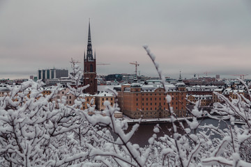 Urban view behind the trees of Riddarholmen and the old church at winter, Stockholm Sweden