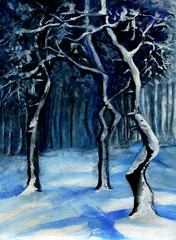 Illustration of night winter forest in snow