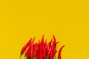 red pepper on yellow background isolated design mockup b