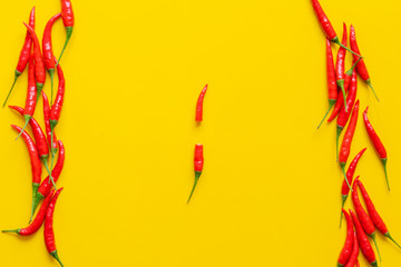 red pepper on yellow background isolated design mockup b