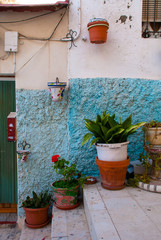 Fototapeta na wymiar Exterior of old mediterranean house with flower pot near the door. Summer time.