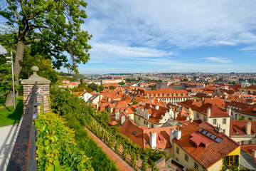 Lovely summer view overlooking the Hradcany district and the city of Prague taken from the Prague...
