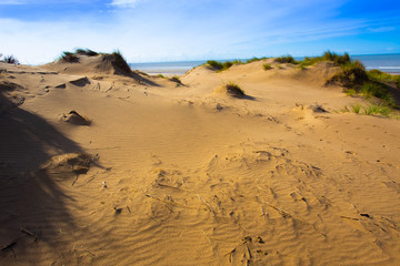 Coastal sand dunes under a blue sky