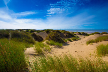Coastal sand dunes under a blue sky