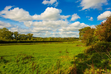 Fototapeta na wymiar An English countryside scene on a summers day