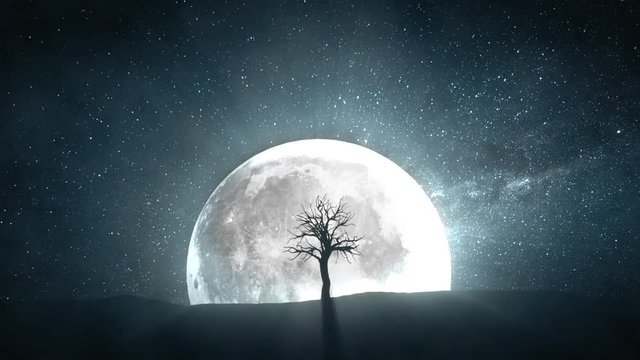 Time lapse of a sprouting tree against the background of a full moon and a rotating universe around