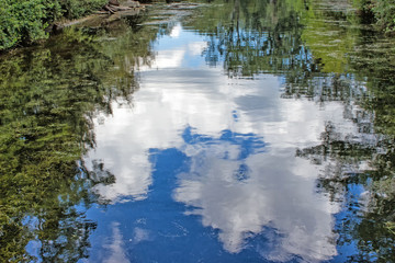 Reflections in Still Water