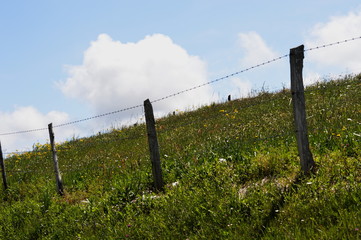Fototapeta premium A fenced grassland in Cantabria