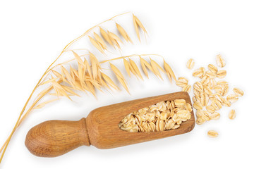 oat spike with oat flakes in wooden scoop isolated on white background. Top view. Flat lay