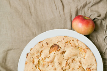 Home baked apple pie. Round meal on the textile  background. Copy space