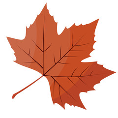 Autumnal Maple Leaf