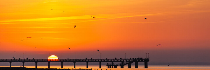 silhouettes of birds in the sky and people watching a bright orange sunset on the sea standing on the pier