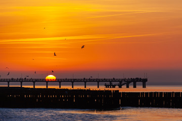 silhouettes of birds in the sky and people watching a bright orange sunset on the sea standing on the pier