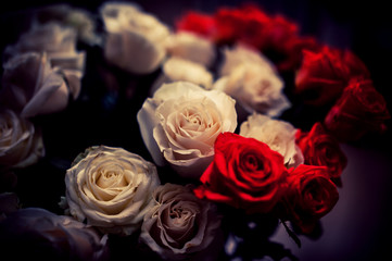 Red and White