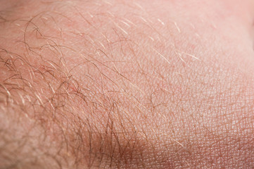 Macro of human skin on the hand with hair