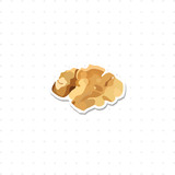 walnut isolated illustration