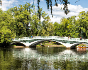 Pedestrian Bridge in a Park