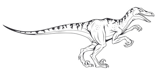 velociraptor vector dinosaur , vector graphic to design © avtorpainter