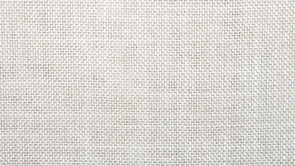 Fototapeta na wymiar Texture of white woven mesh.Dense white grid background.