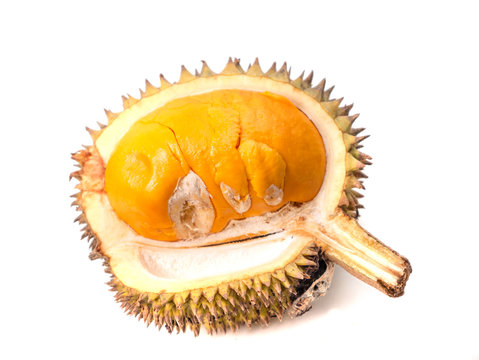 Durian Lai, Durio Kutejensis, Yellow Durian of Borneo Kalimantan