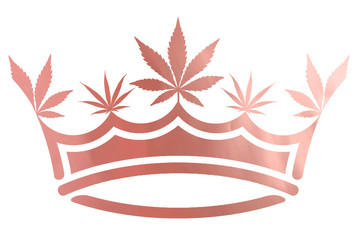 Download Search photos "marijuana leaf"
